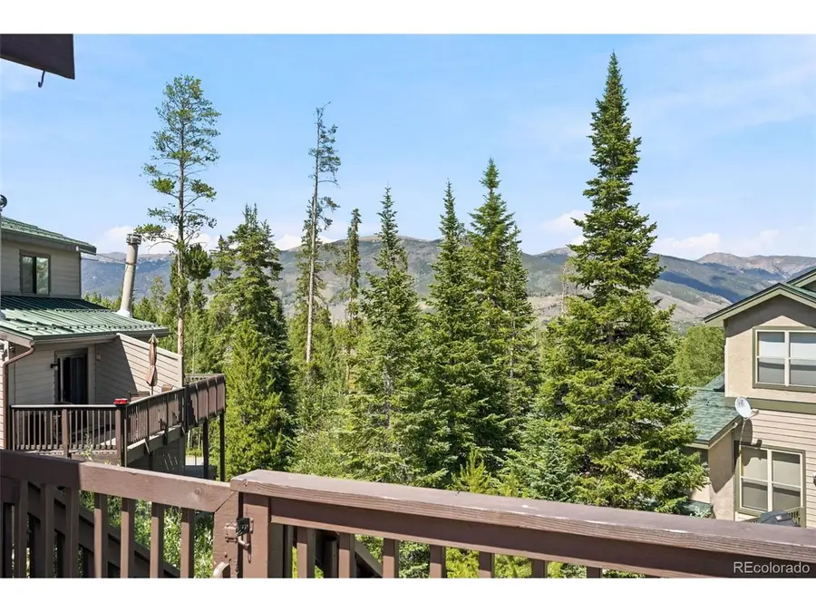 184 Burgundy Cir, Silverthorne, CO 80498 - #3