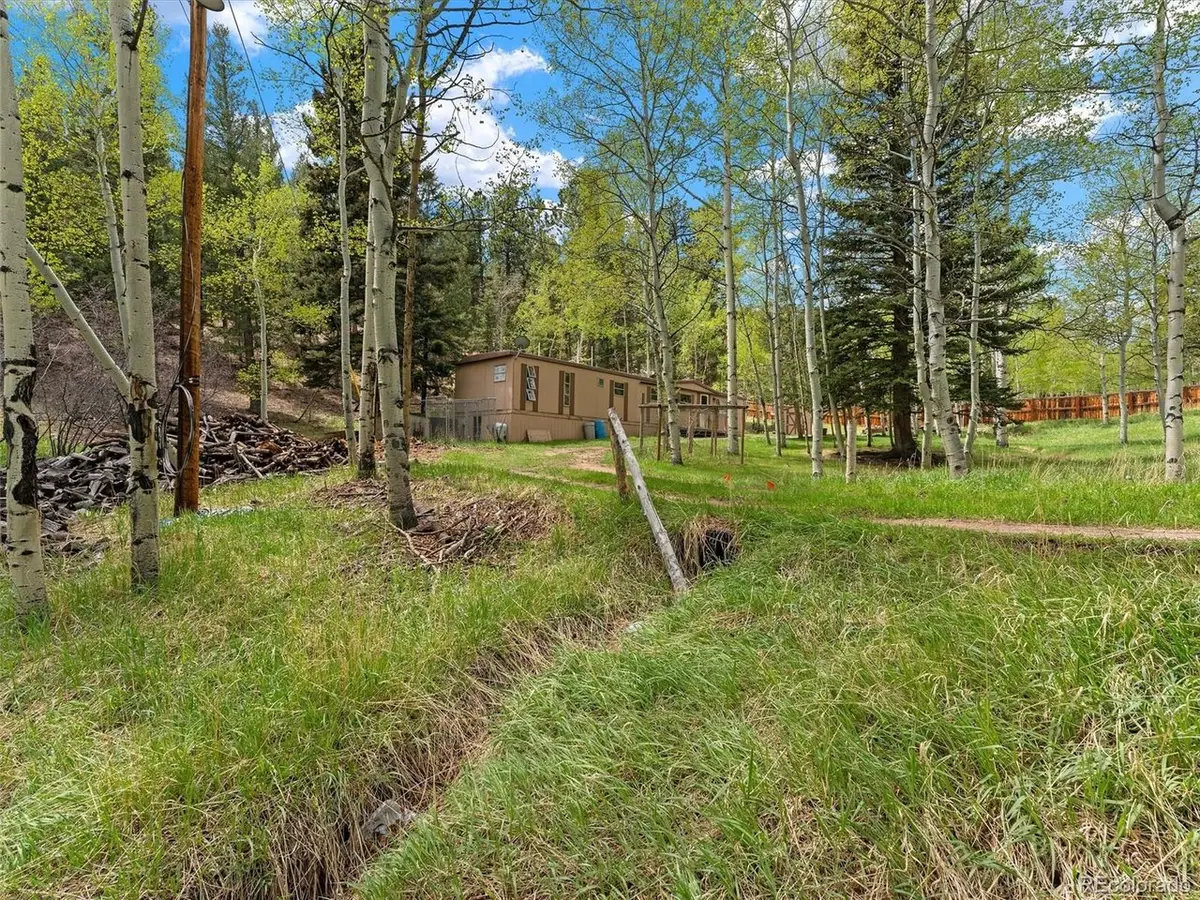 714 N Pine Dr, Bailey, CO 80421 - #1