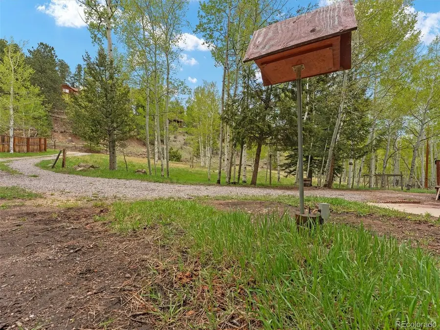 714 N Pine Dr, Bailey, CO 80421 - #3