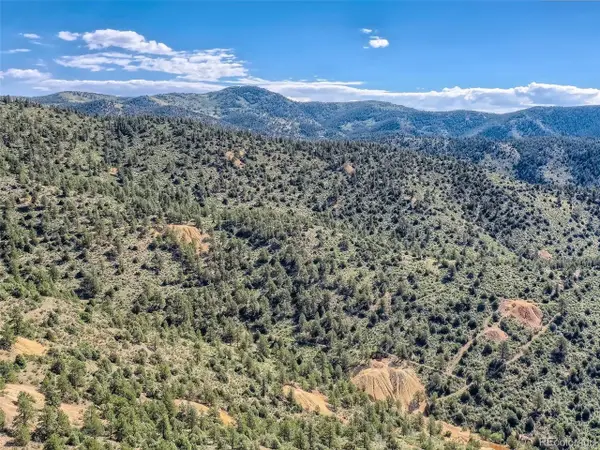 1 Eagle Mining Claim, Dumont, CO 80436