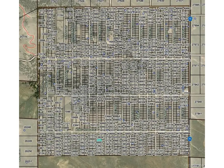 Tarryall St, Hartsel, CO 80449 - #3