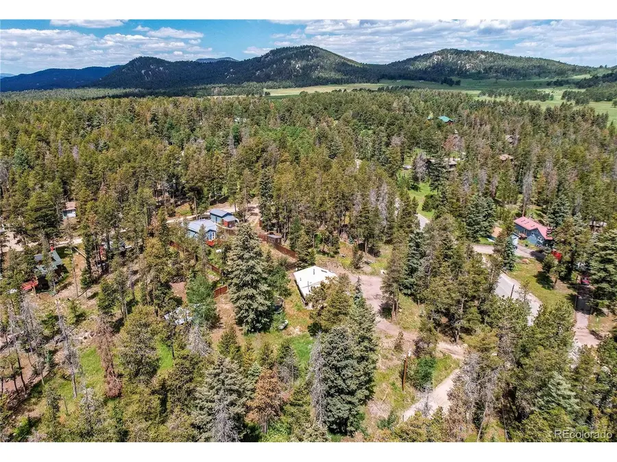 10893 Milliken Ave, Conifer, CO 80433 - #2