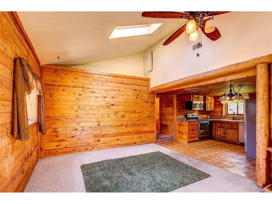 10893 Milliken Ave, Conifer, CO 80433 - #3