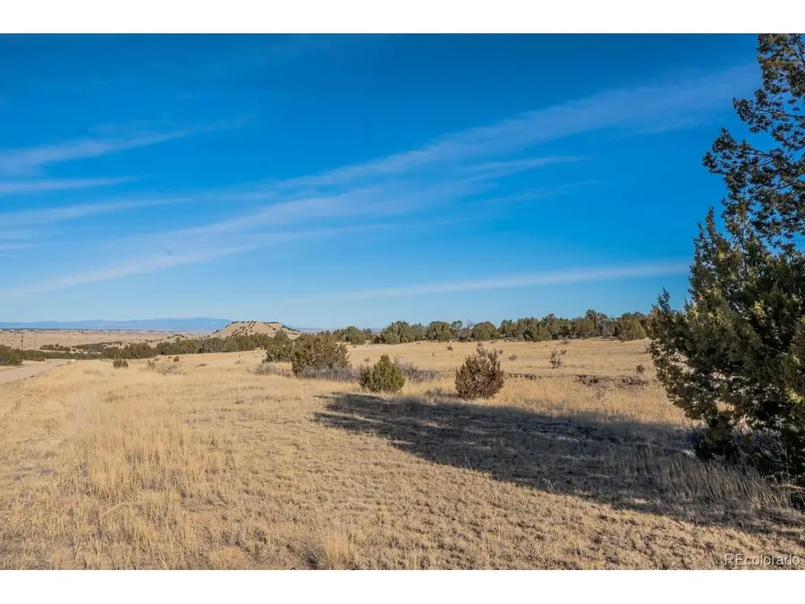 24 Hatchet Ranch, Colorado City, CO 81019 - #3