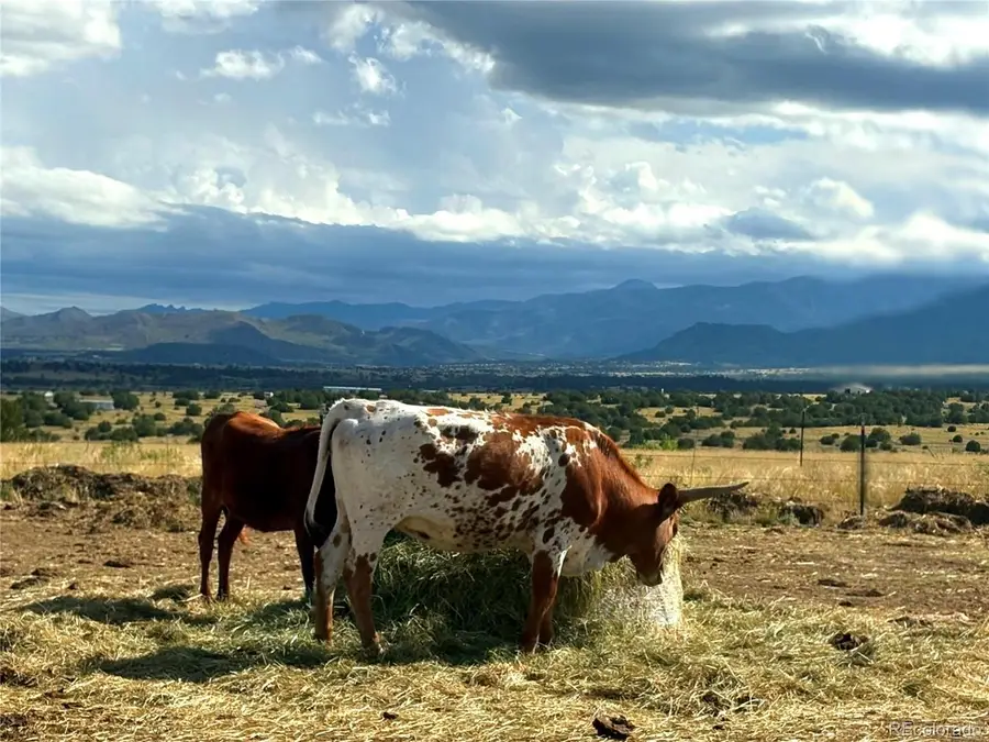 8650 State Highway 67, Florence, CO 81226 - #2