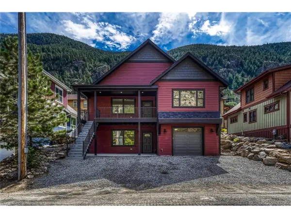 1114 Griffith St, Georgetown, CO 80444