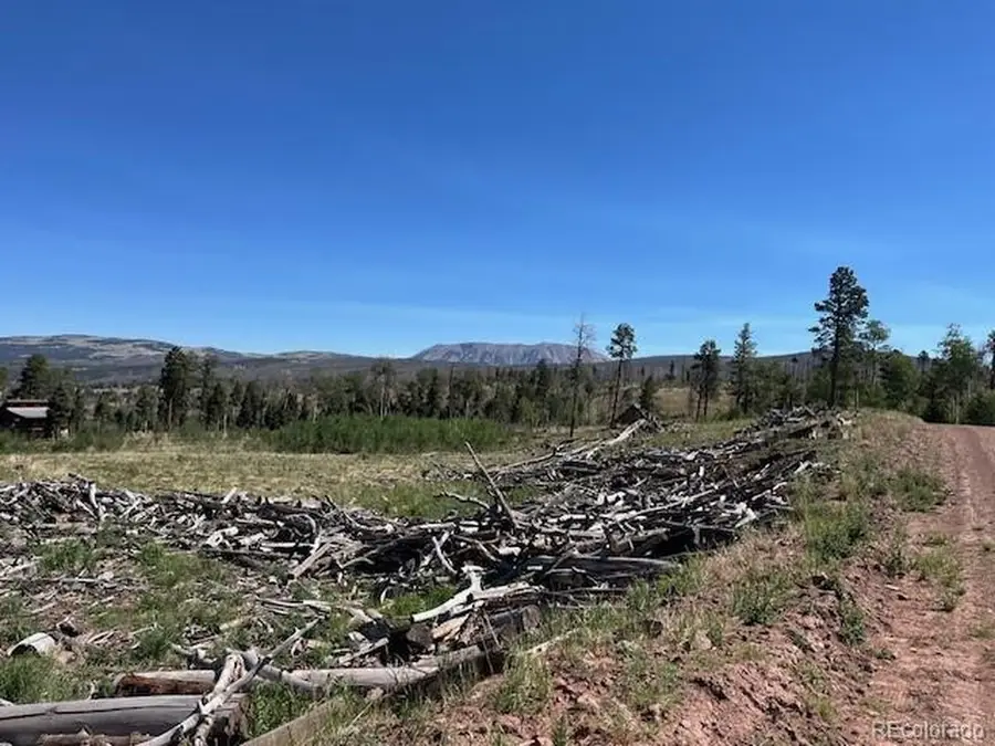 960 Huntington Ln, Fort Garland, CO 81133 - #3