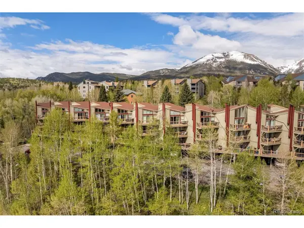 2435 Ryan Gulch Ct #2435, Silverthorne, CO 80498
