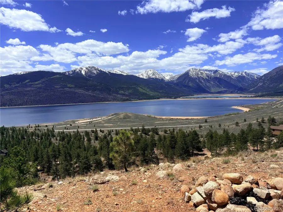 10007 Ross Dr, Twin Lakes, CO 81251 - #2