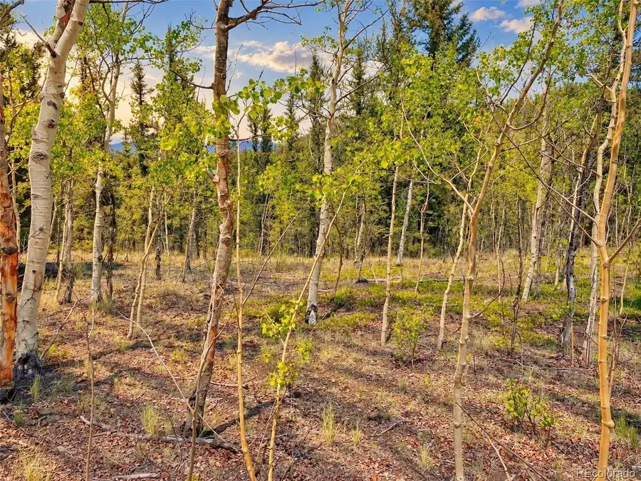 126 S Quarter Horse Rd, Como, CO 80432 - #3