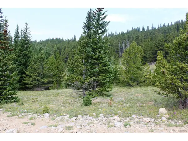 13620 Independence, Idaho Springs, CO 80461