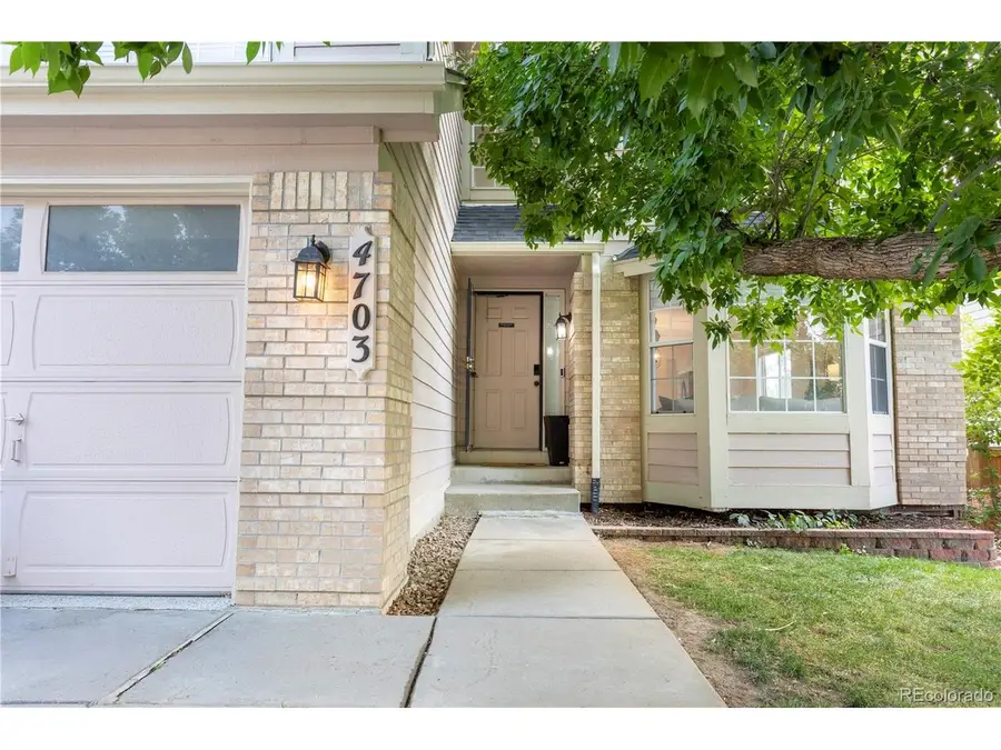 4703 N Wildflowers Way, Castle Rock, CO 80109 - #3