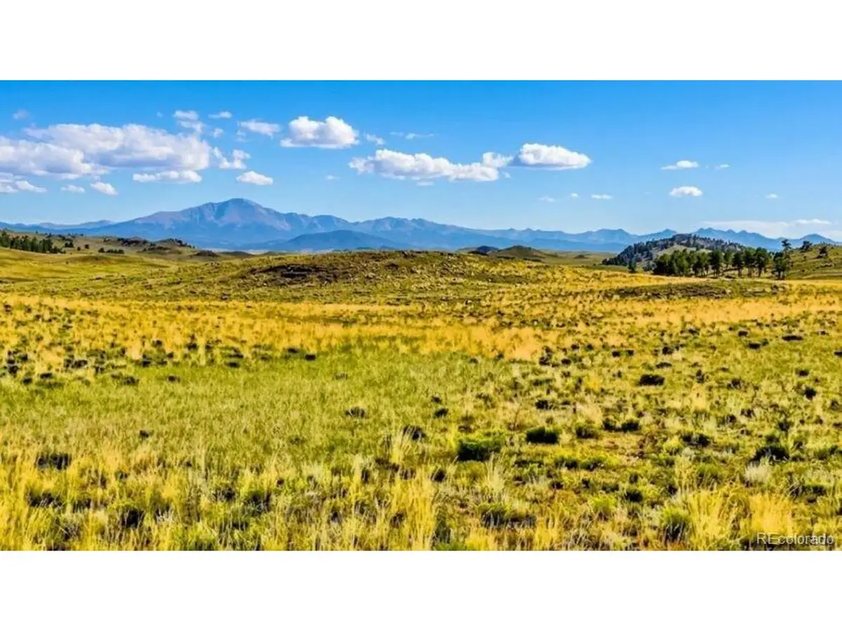 123 Shawnee Trl, Hartsel, CO 80449 - #1