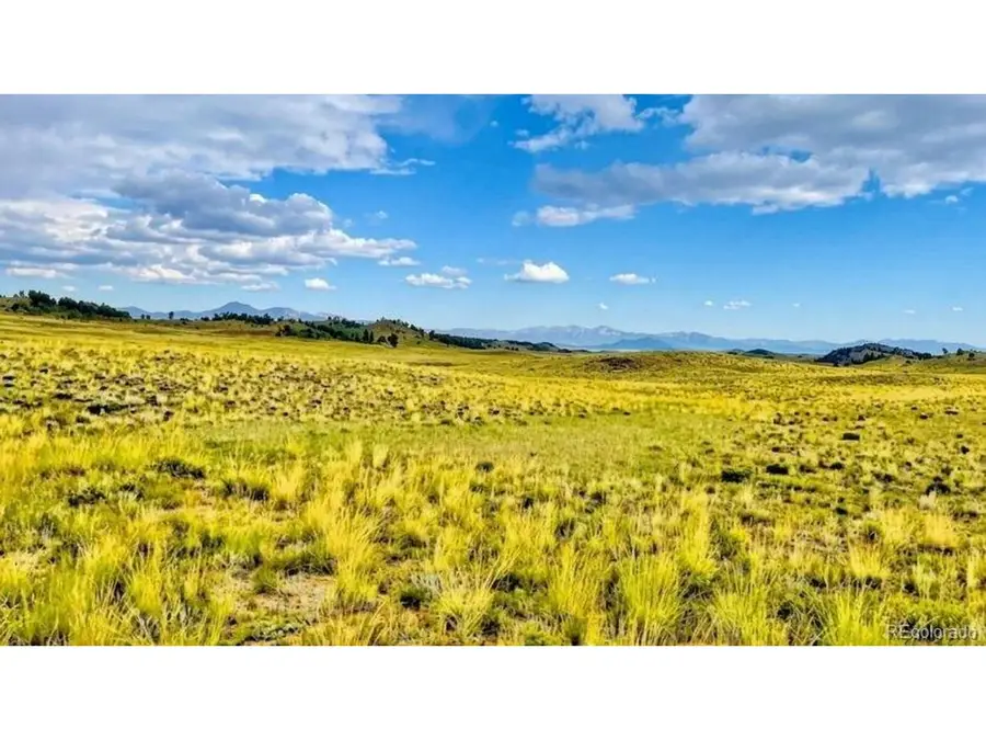 123 Shawnee Trl, Hartsel, CO 80449 - #2