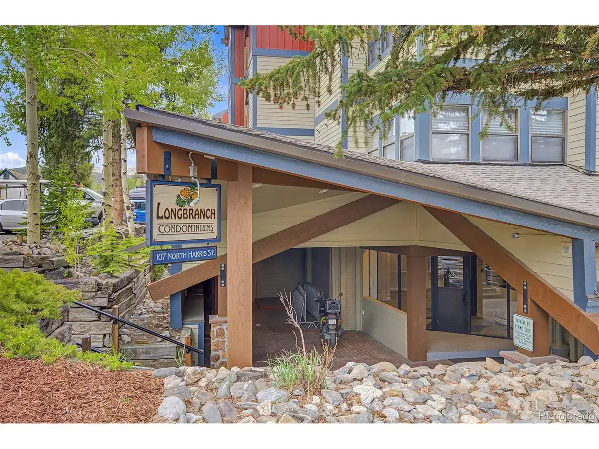 107 Harris St #209, Breckenridge, CO 80424 - #1
