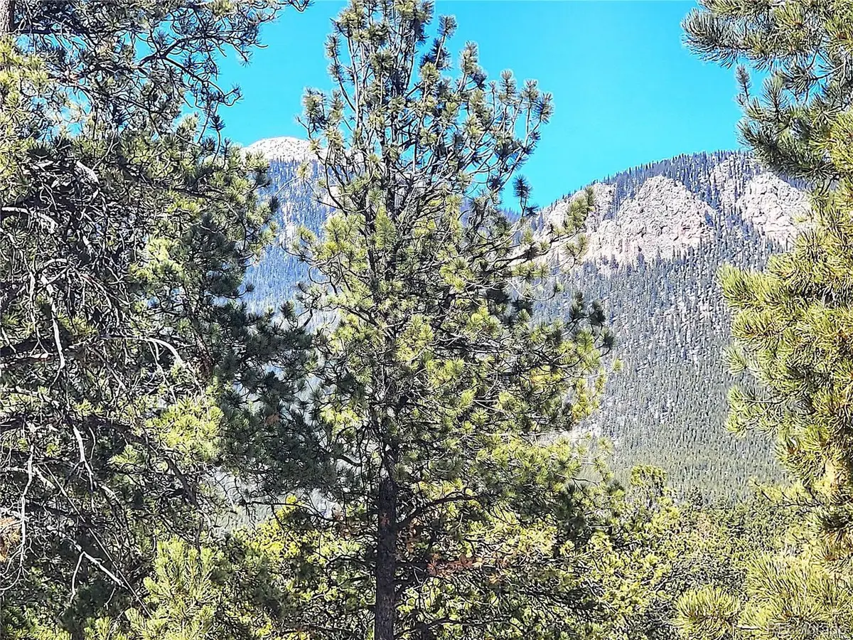 116 Neal St, Bailey, CO 80421 - #1