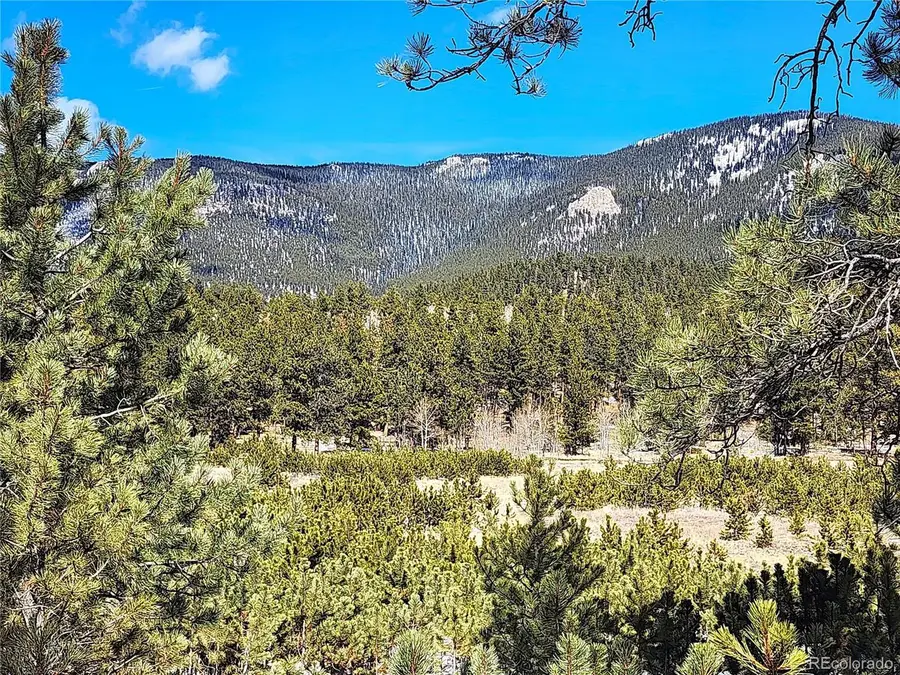 116 Neal St, Bailey, CO 80421 - #2