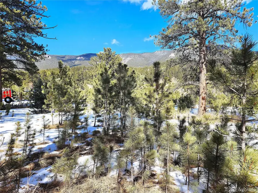 116 Neal St, Bailey, CO 80421 - #3