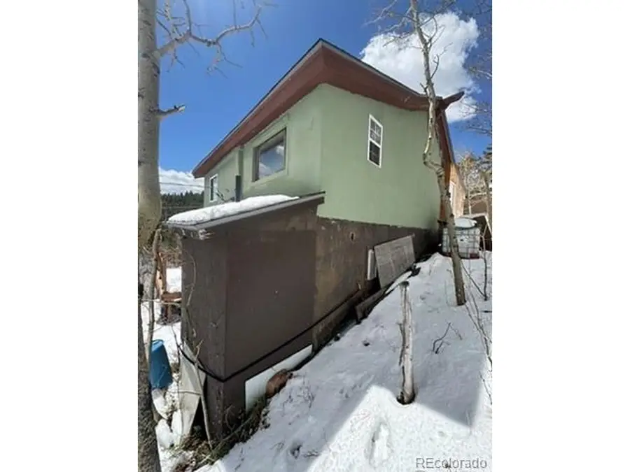 13 Modoc St, Ward, CO 80481 - #2