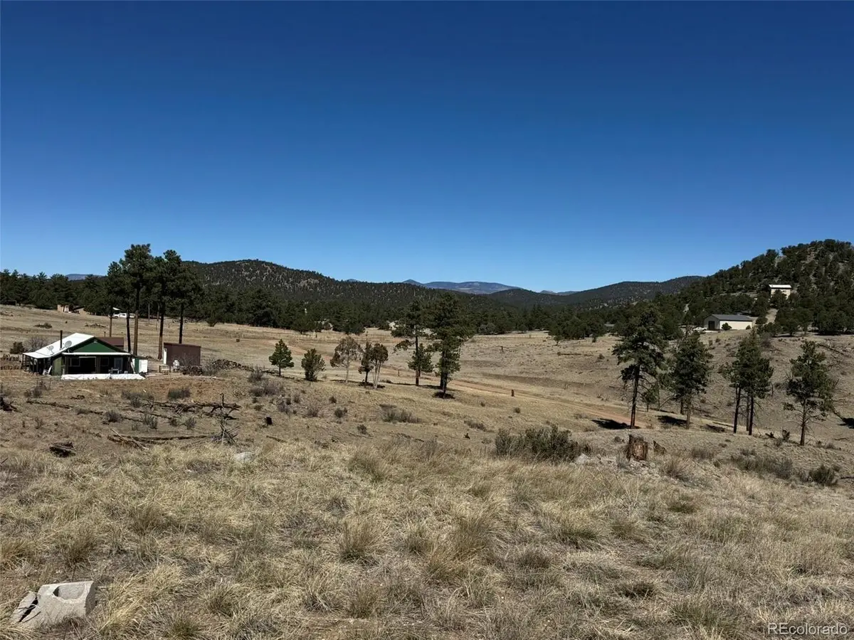184 Carpenter Trl, Cotopaxi, CO 81223 - #1