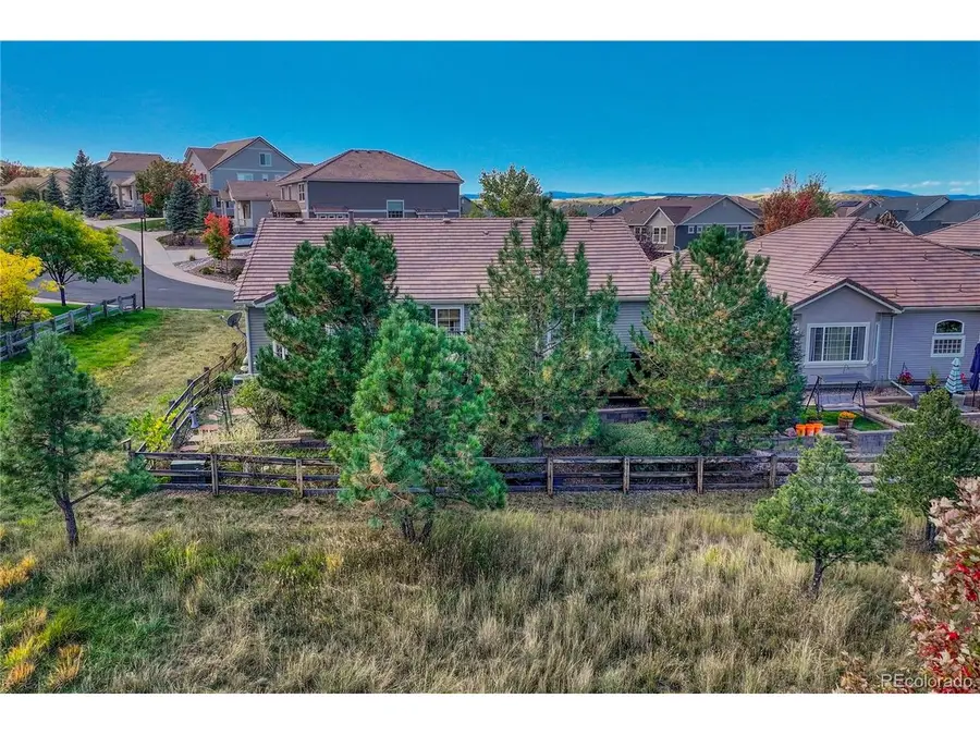 1410 Exquisite St, Castle Rock, CO 80109 - #3