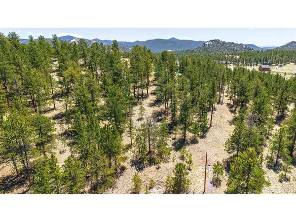 56 Dallas Park Cir, Florissant, CO 80816