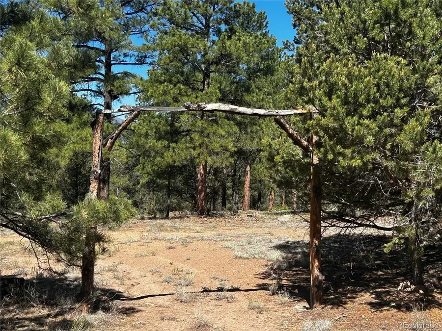 960 Oak Dr, Westcliffe, CO 81252 - #3