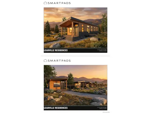 613 E 8th St, Leadville, CO 80461