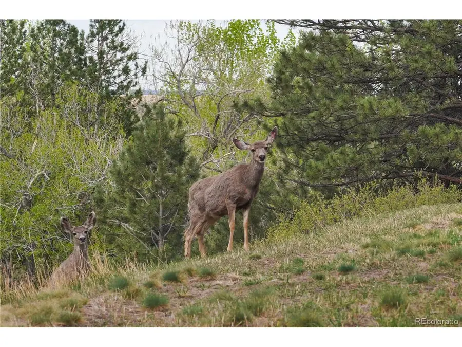 8664 Middle Fork, Boulder, CO 80302 - #3
