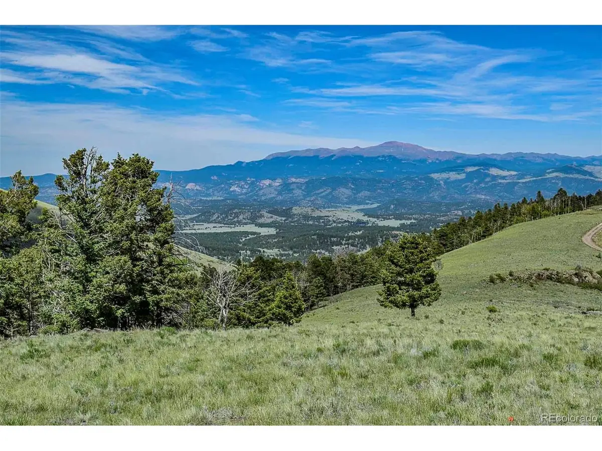 0 Bear Cat Rd, Guffey, CO 80820 - #1