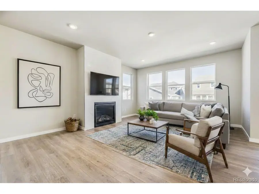 13749 Daffodil Pt, Parker, CO 80134 - #3