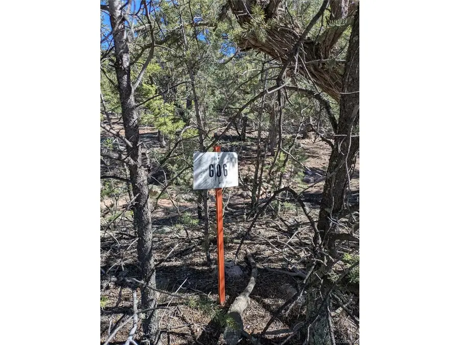 606 Peaceful Overlook, Crestone, CO 81131 - #2