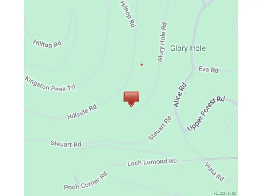 406 Glory Hole Rd, Idaho Springs, CO 80452 - #2