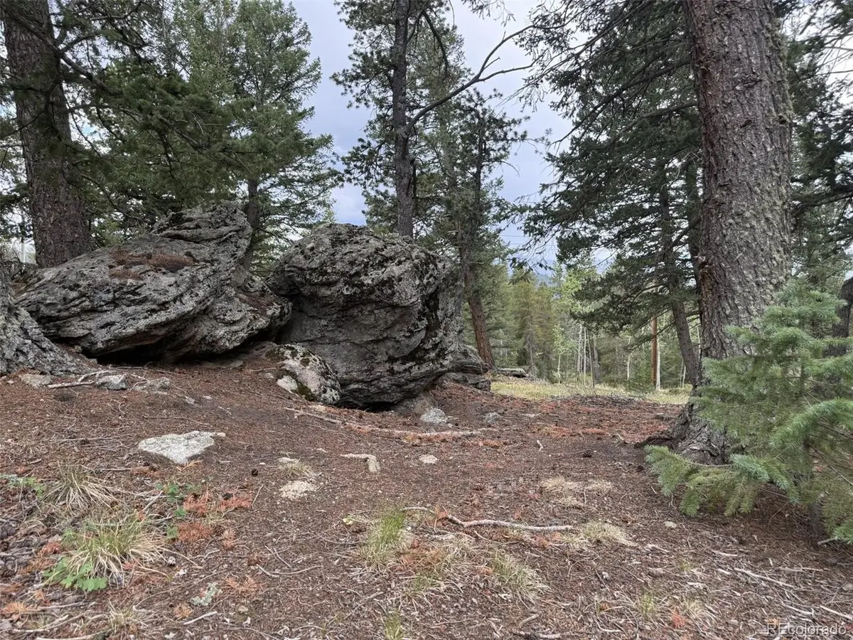1 Hawk Way, Black Hawk, CO 80422 - #1