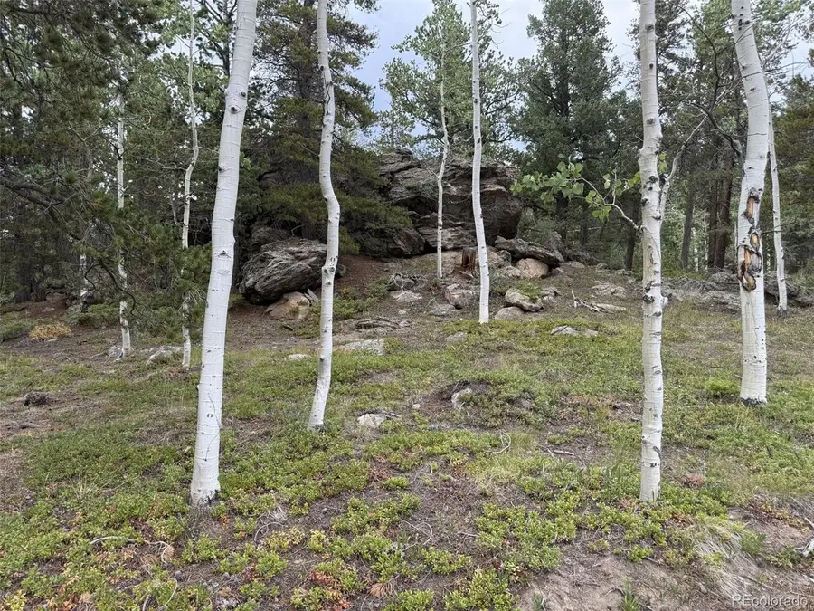 1 Hawk Way, Black Hawk, CO 80422 - #2