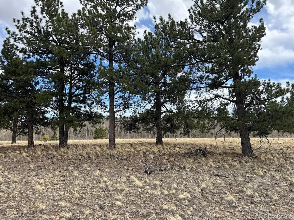 304 Brahma Cir, Hartsel, CO 80449 - #1