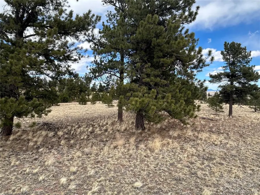 304 Brahma Cir, Hartsel, CO 80449 - #3