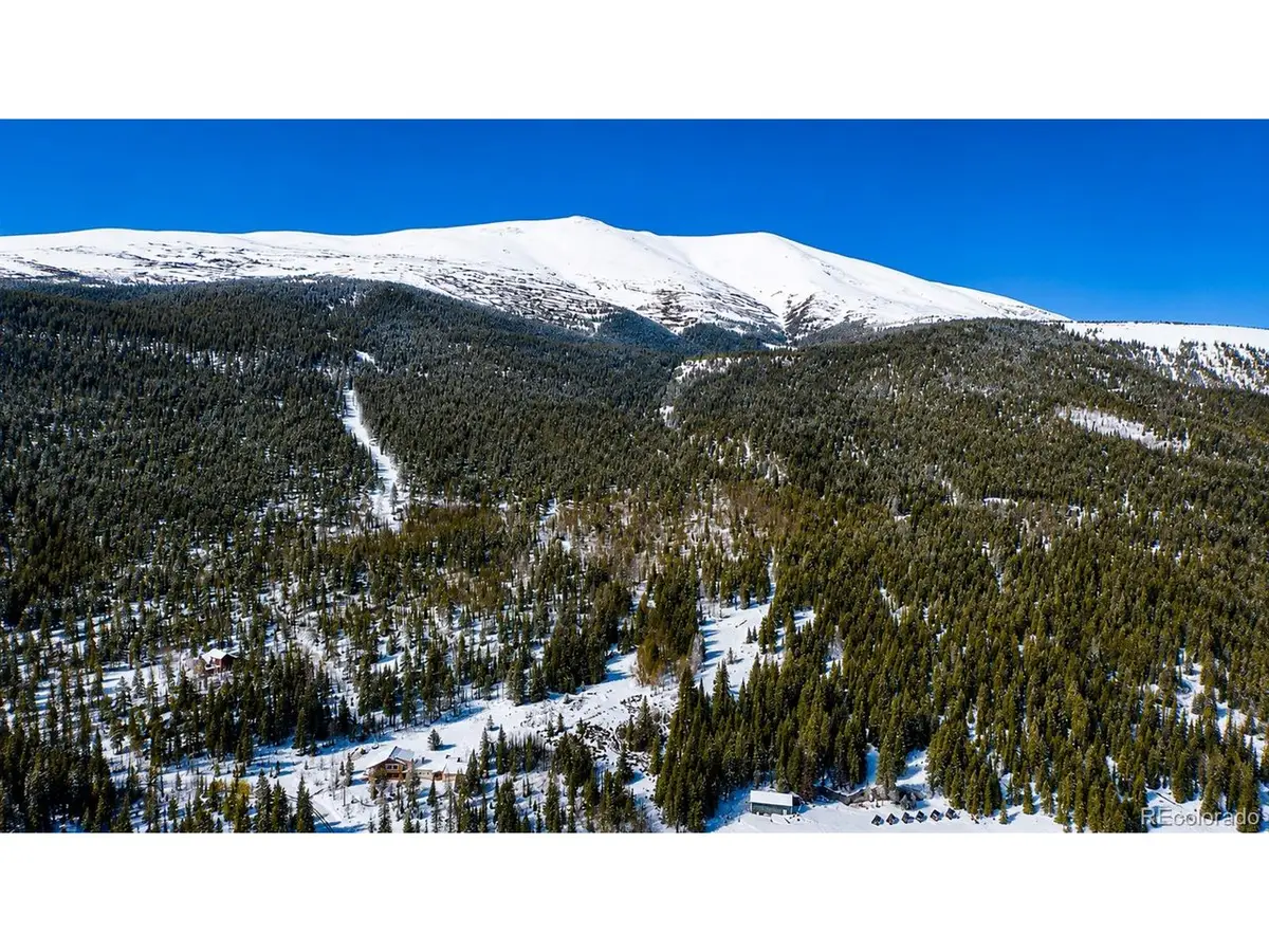 940 Lewsader Rd, Alma, CO 80420 - #1
