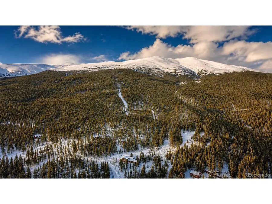940 Lewsader Rd, Alma, CO 80420 - #2