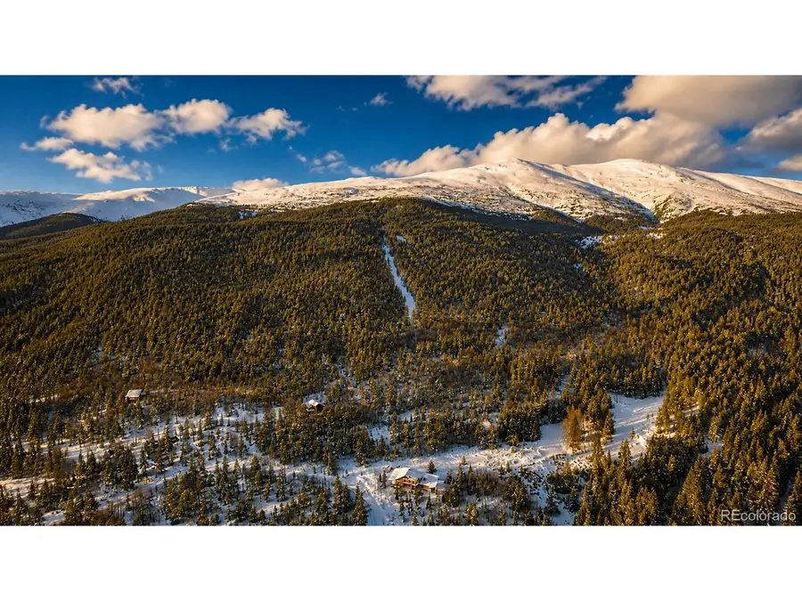 940 Lewsader Rd, Alma, CO 80420 - #3