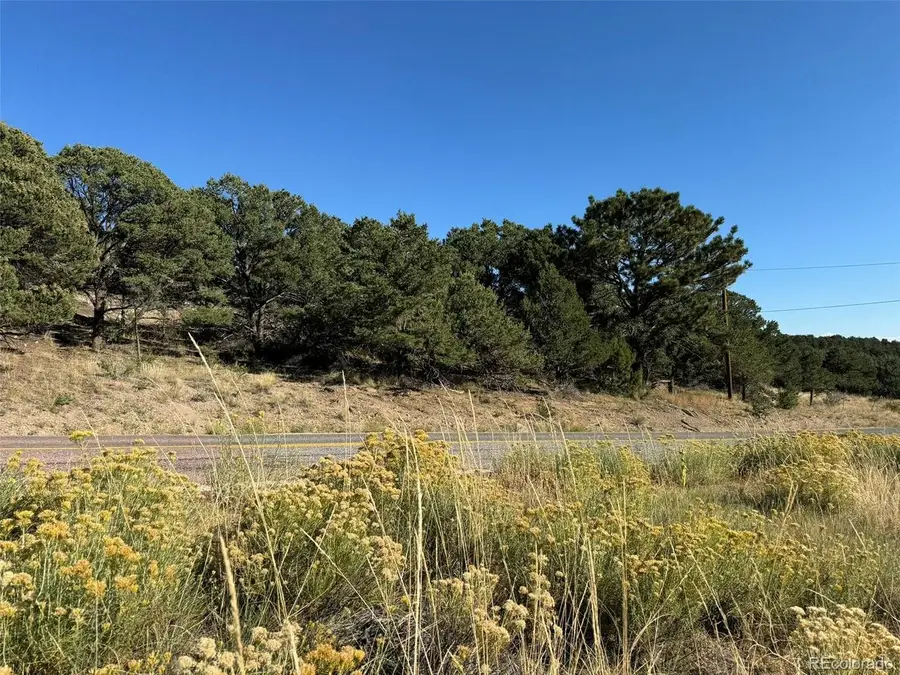 48 Copper Gultch, Cotopaxi, CO 81223 - #3