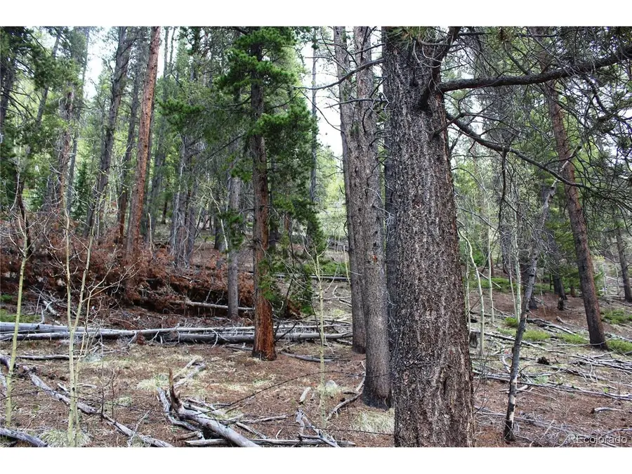 0 Broomfield Gulch Rd, Black Hawk, CO 80422 - #2