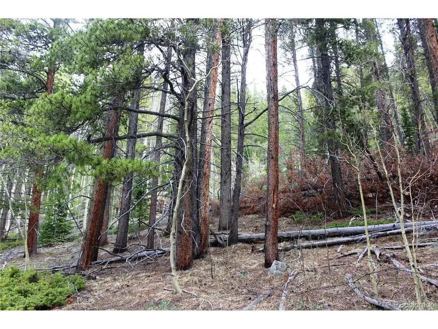 0 Broomfield Gulch Rd, Black Hawk, CO 80422 - #3
