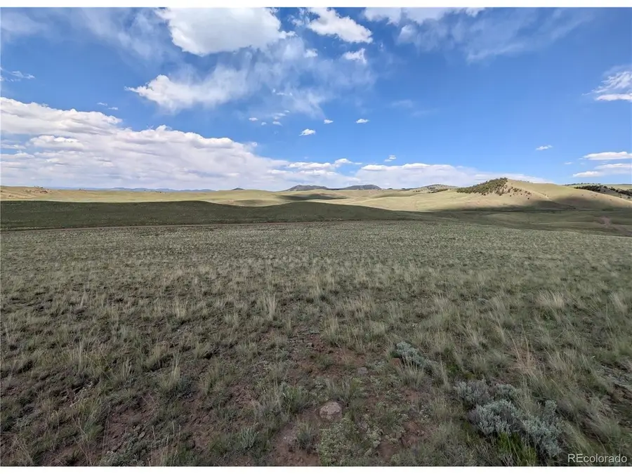 Wicaka Trl, Hartsel, CO 80449 - #2