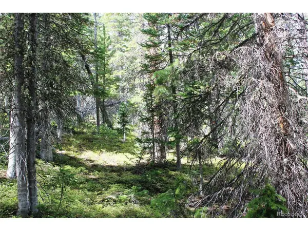 17577 Jackson, Black Hawk, CO 80422
