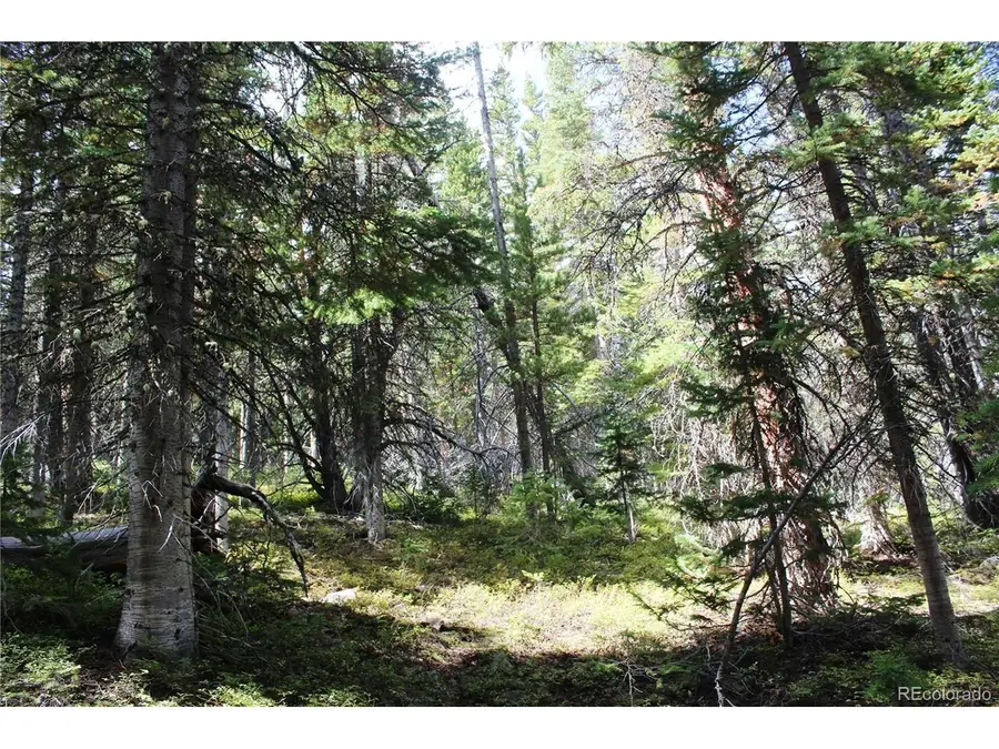17577 Jackson, Black Hawk, CO 80422 - #2