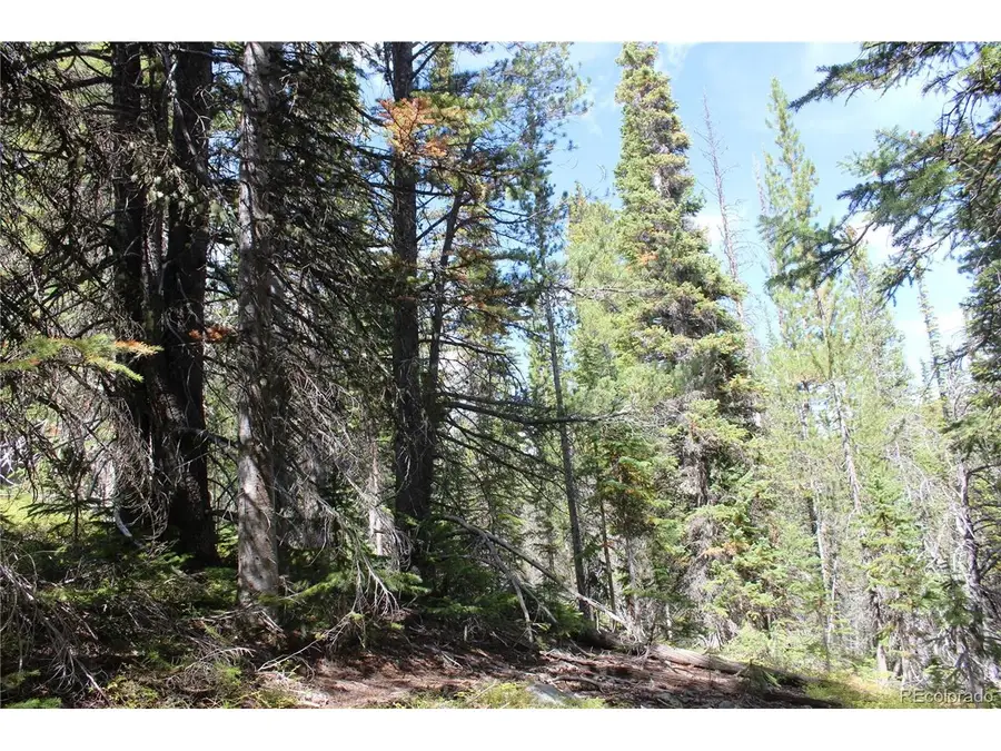 17577 Jackson, Black Hawk, CO 80422 - #3