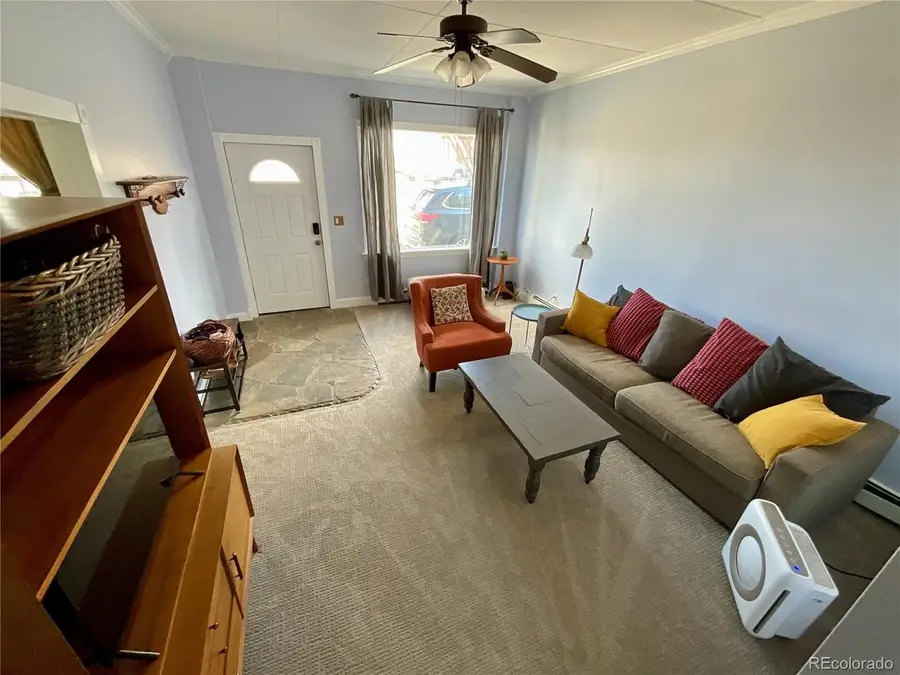 135 Chestnut St, Leadville, CO 80461 - #3
