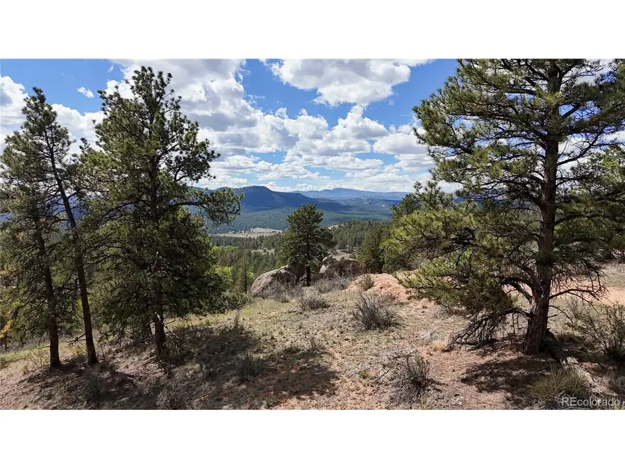 95 Navajo Trl, Florissant, CO 80816 - #2