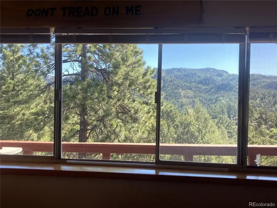 136 Burnt Timber Cir, Cotopaxi, CO 81223 - #2